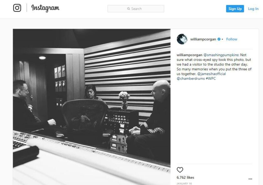 pumpkins_instagram.jpg