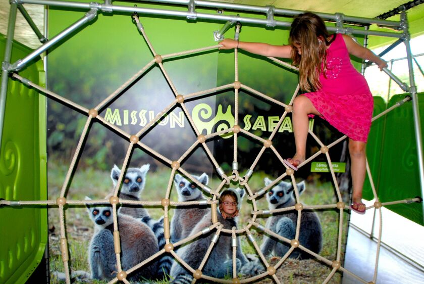 At Brookfield Zoo’s Amazing Arachnids, guests can climb on a spider web in Mission Safari Maze. The summer exhibit engages guests to learn about and make a connection with one of the 16 species that is featured in the 3,500-square-foot maze. Families can