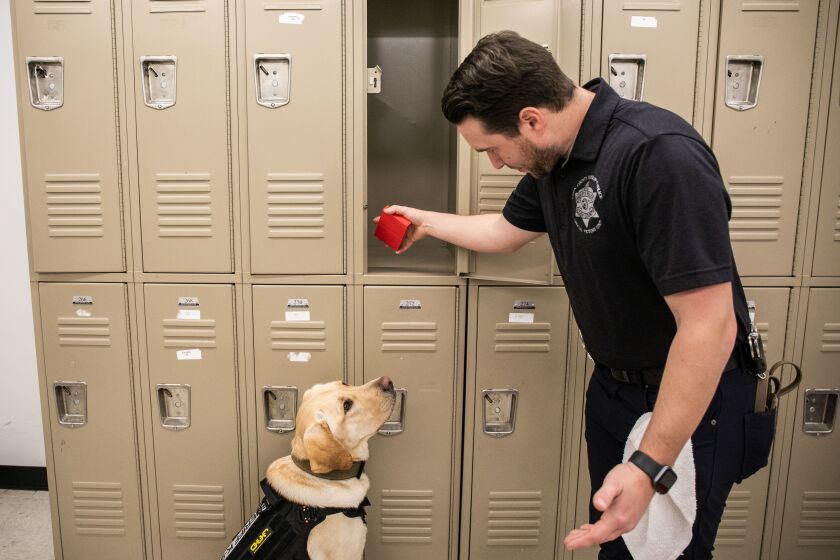 New K-9 Electronics for the Cook County Sheriff's Office Has a Nose for Crime Internet Crimes Against Children Unit Investigator Daniel Codd, Boone's handler, holds a hard drive that Boone planted inside a locker during a recent performance at the Cook County Sheriff's Office gym in Maywood. Boone, the department's first electronics-sniffing K-9, uses his nose to point to the general area where he smells a chemical that is in electronic equipment.