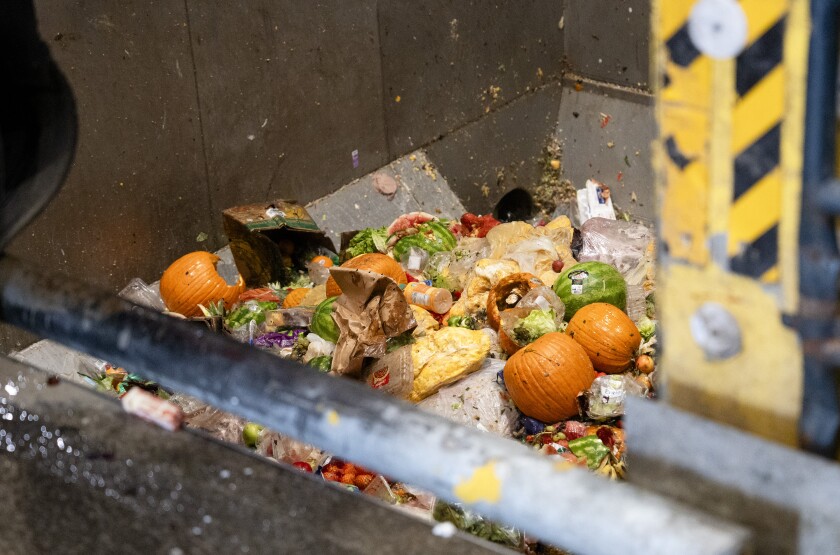 Food waste like pumpkins and watermelons sit in a pit at Green Era Campus.