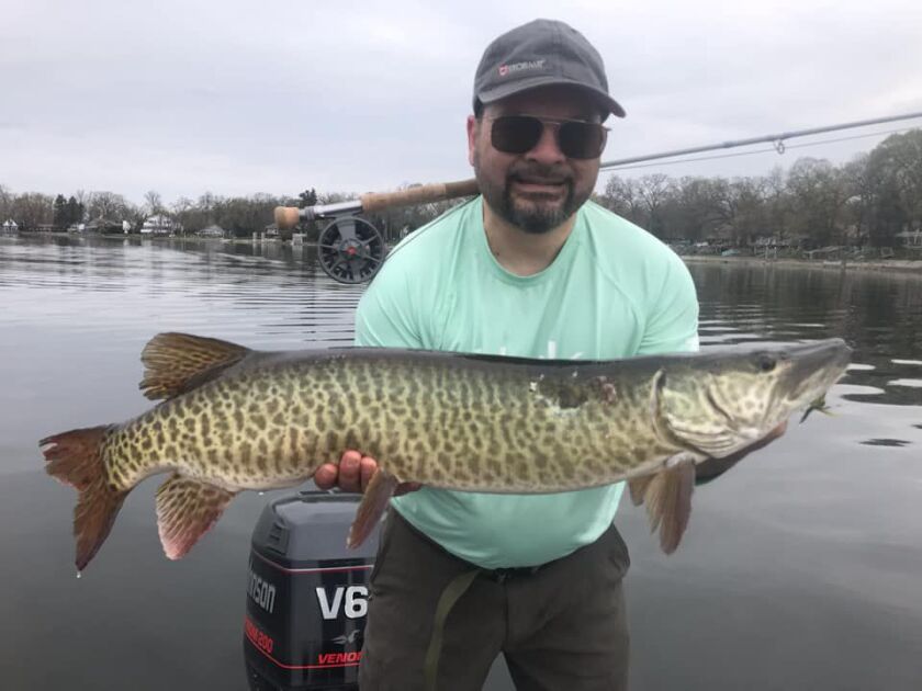 Joseph Christopher Alfe with one of the muskies with notable spawning wounds that he caught fly fishing on the Chain O’Lakes. Provided photo