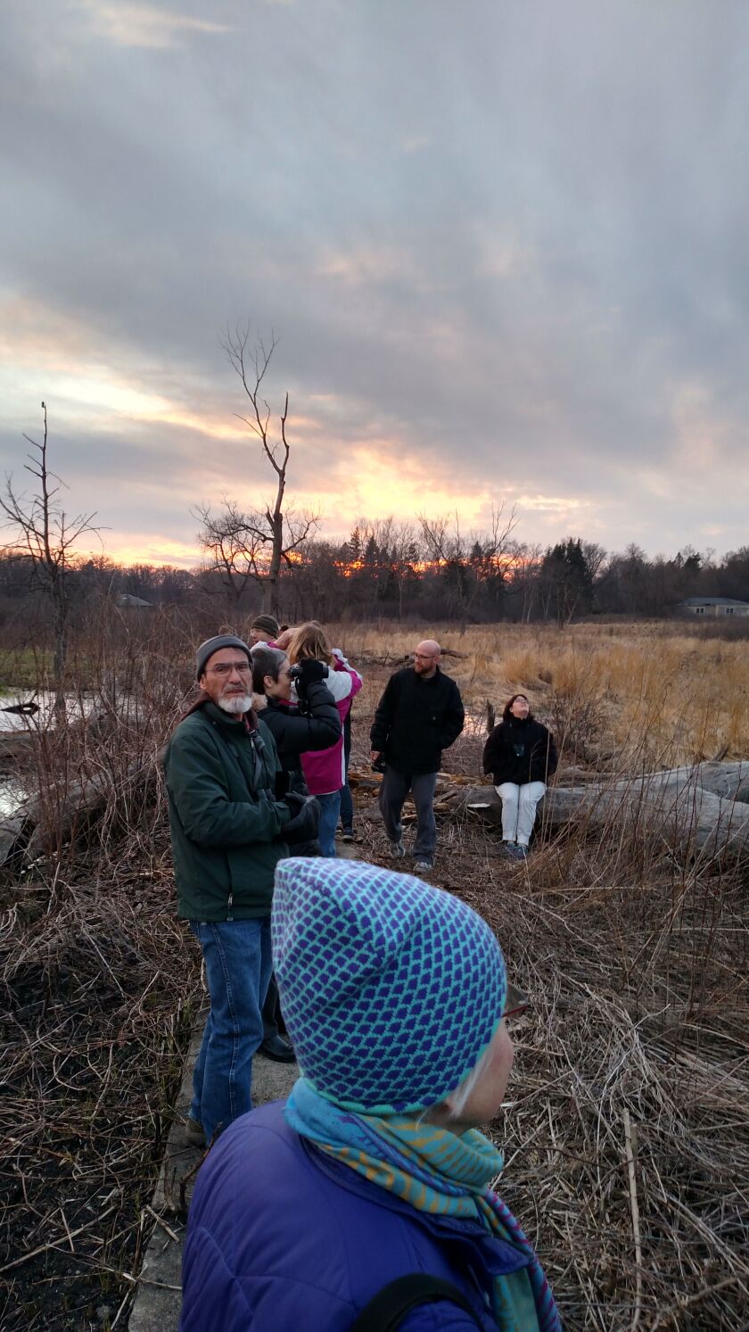 John Elliott, looking east toward the camera, led an excursion to observe the “Sky Dance” of woodcocks at Wolf Road Prairie.<br>Credit: Dale Bowman