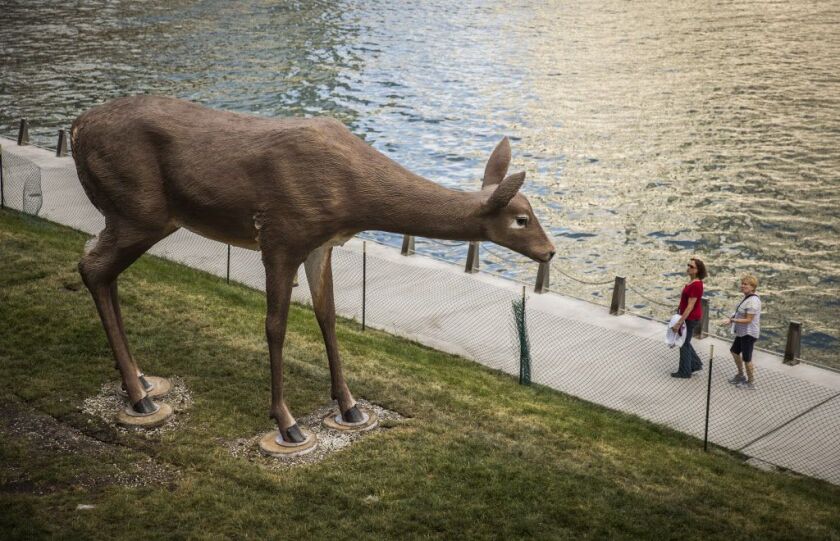“Deer” by artist Tony Tasset, made of fiberglass, epoxy and paint, was recently installed along the Riverwalk near Wolf Point. | Rich Hein/Sun-Times
