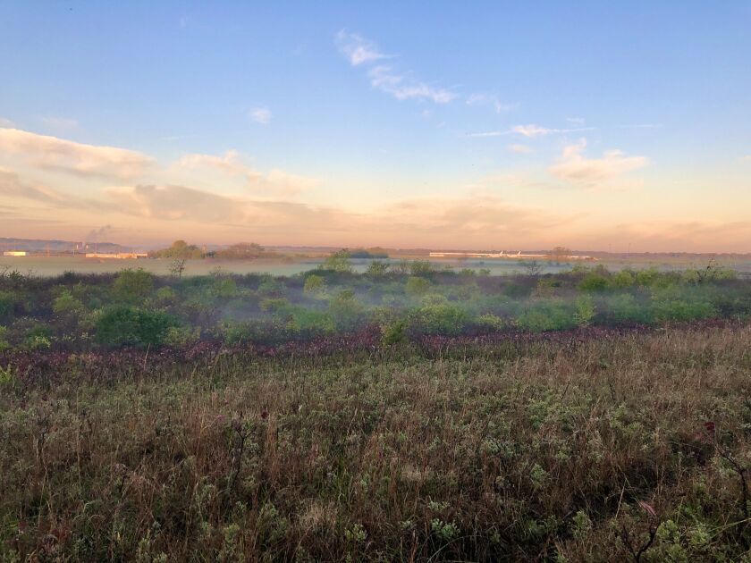 Bell_Bowl_Prairie_Jessie_Crow_Mermel__1__1_.jpeg