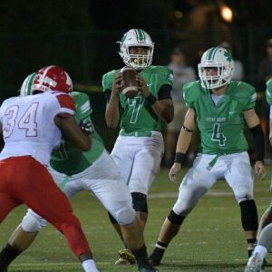 Notre Dame’s Anthony Sayles (7) stands in the pocket. Worsom Robinson/For the Sun-Times.