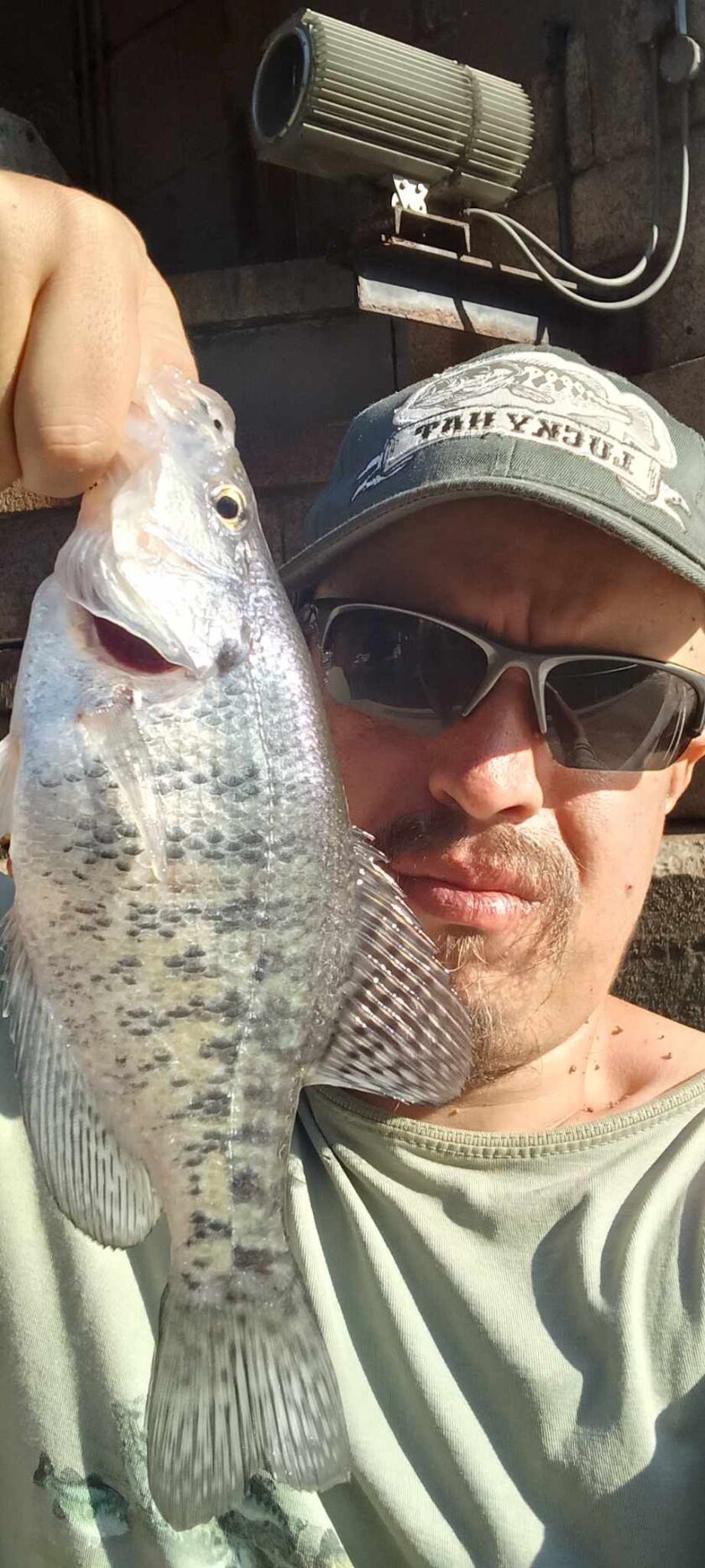 Jeffrey Williams with a crappie from the Chicago River. Provided photo