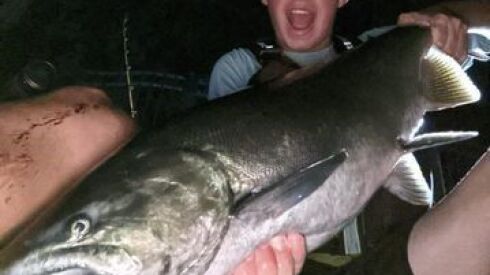 Isaac Biggerstaff with one of his big Chinook caught off Waukegan while kayak fishing.