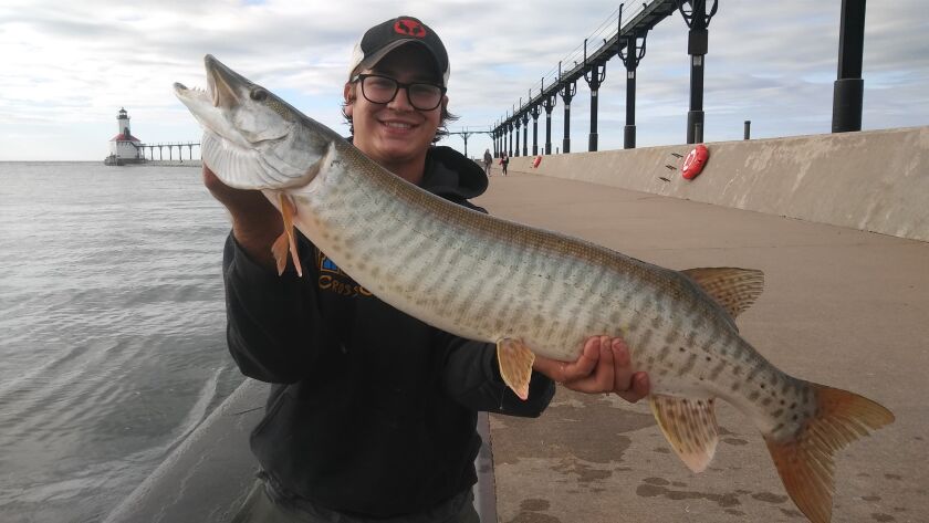 Ryan Henry caught and released a muskie at Michigan City, Ind.<br>Provided by David Martin Repya