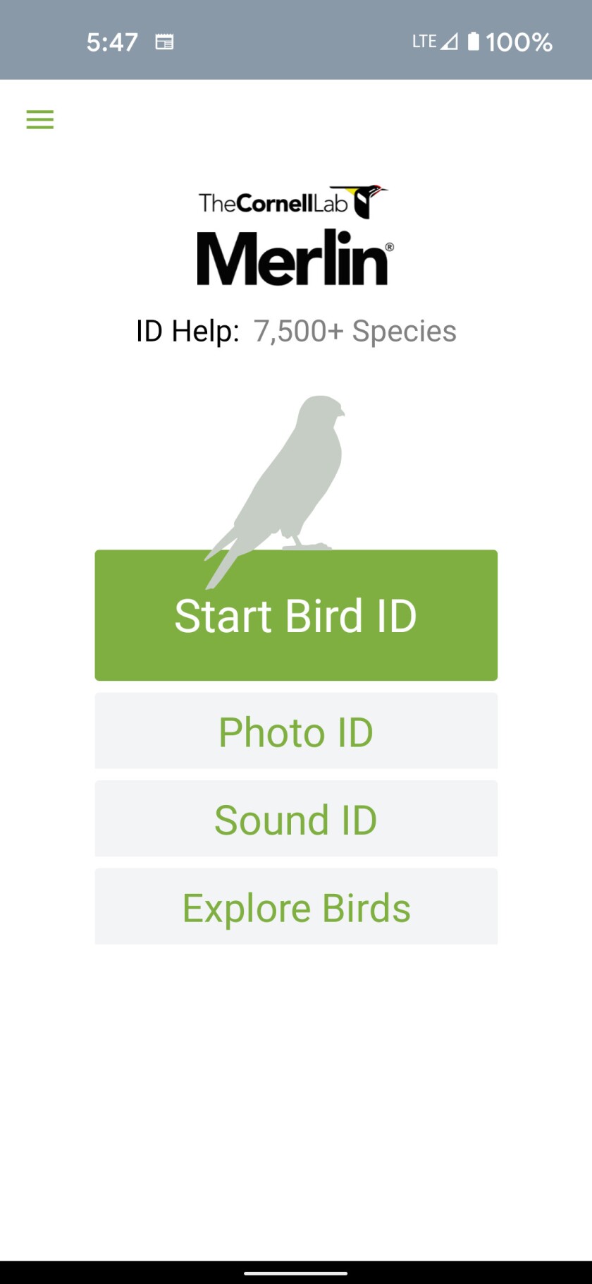Screenshot of the Merlin Bird ID app. Credit: Dale Bowman