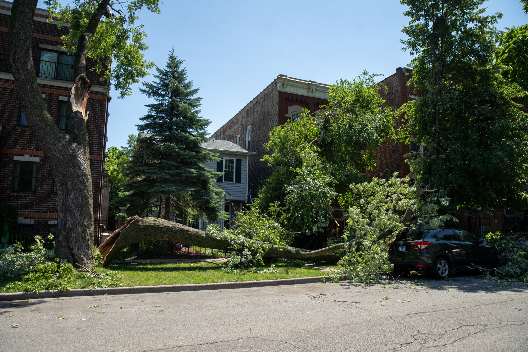 Chicago Trees Exploding Thousands citywide report tree damage after severe overnight storms ...
