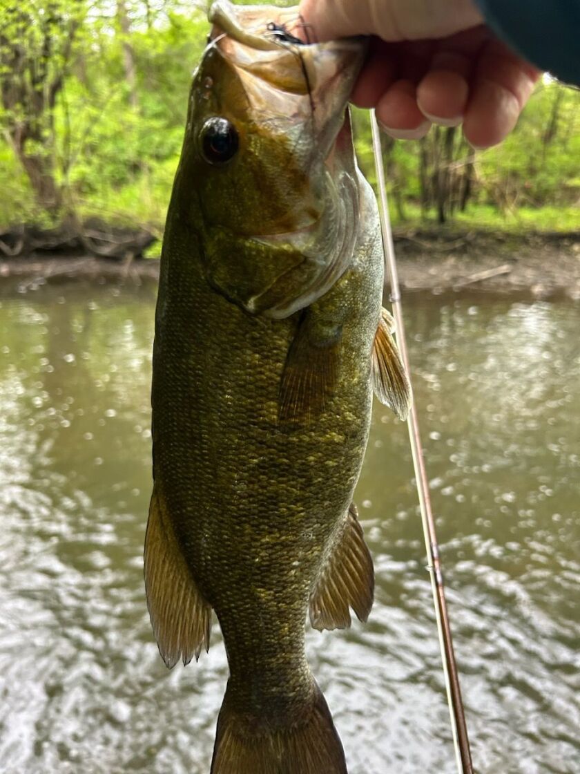 Pete Lamar with a smallmouth bass on a fly from the Fox River system. Provided photo