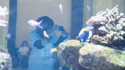 Valentina Rodriguez, 17, takes photos at the Shedd Aquarium during Downtown Day.