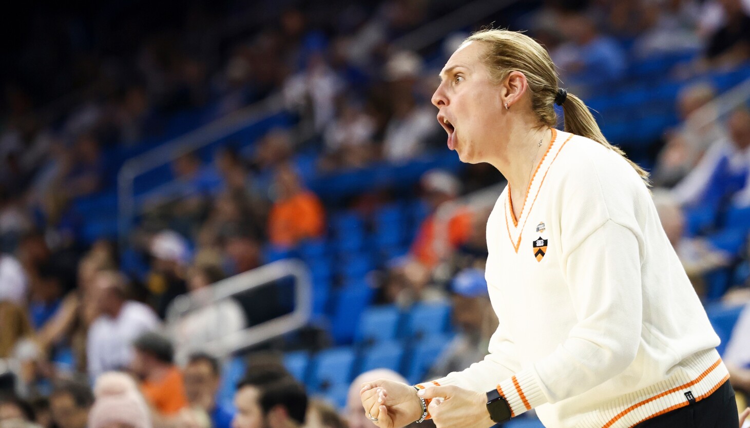 Northwestern hires Princeton's Carla Berube as women's basketball coach