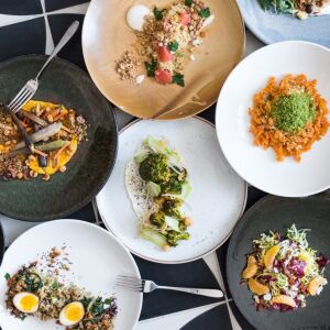 Various dishes at The Warbler | Courtesy of Kailley Lindman