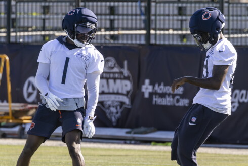BEARS_260731-52.JPG