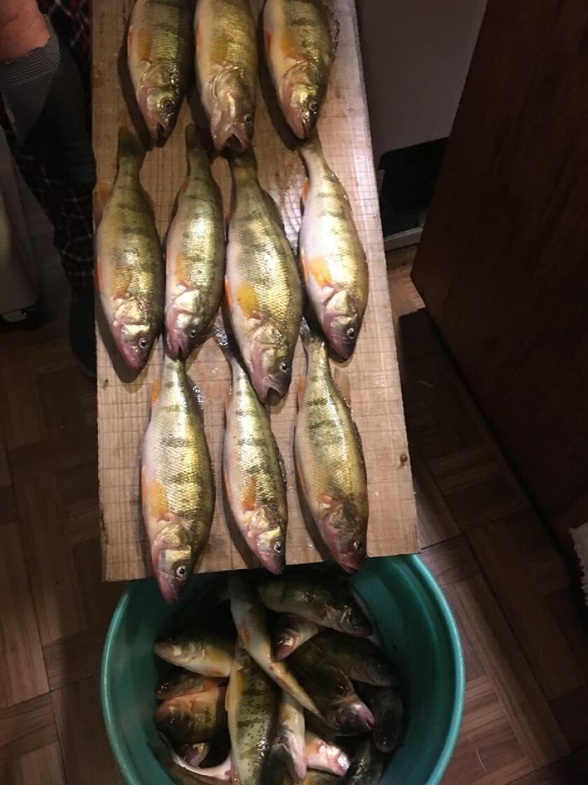 Perch from Cal Park.<br>Provided by Tim Bob Vaught