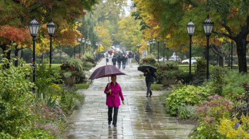 A woman in a pink jacket shields herself from the rain with an umbrella while walking through the University of Chicago’s main quad on the South Side, Tuesday, Oct. 11.