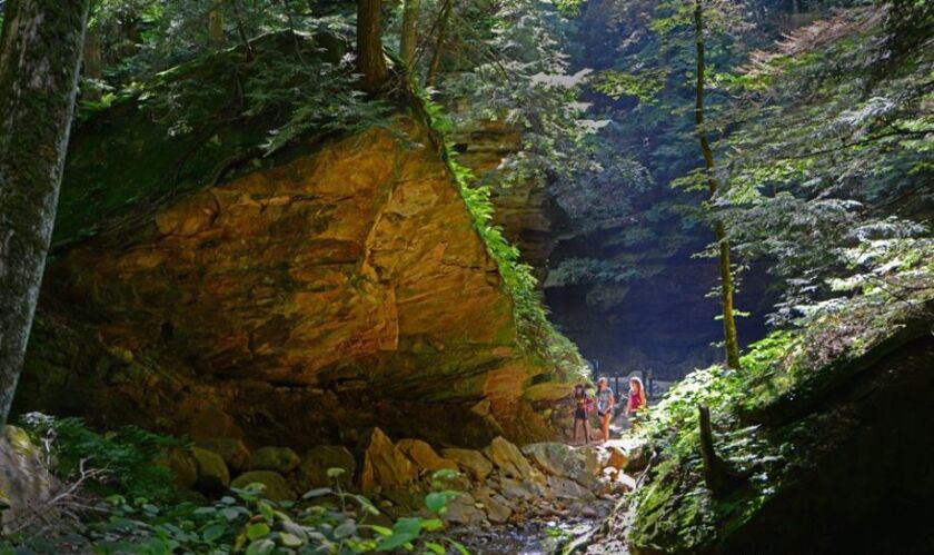 Indiana'da yakın zamanda onurlandırılan Turkey Run Eyalet Parkı'nda yürüyüş.  Indiana DNR tarafından sağlanan