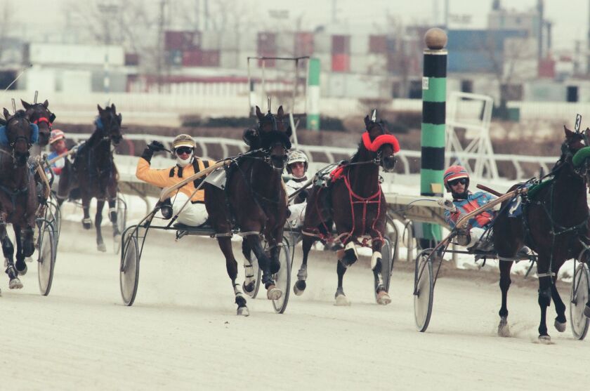 Harness racing at Hawthorne Race Course in 1996.