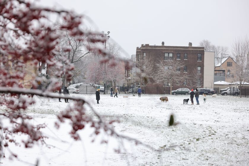 A snowy Holstein Park in Bucktown on Sunday morning, Nov. 26, 2023.