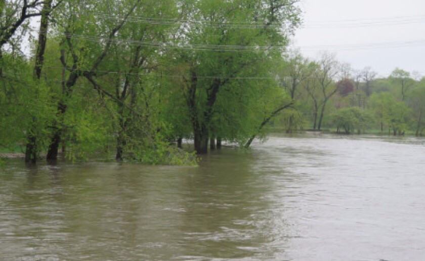 The Des Plaines River on Sunday in west suburban Riverside | Riverside police photo