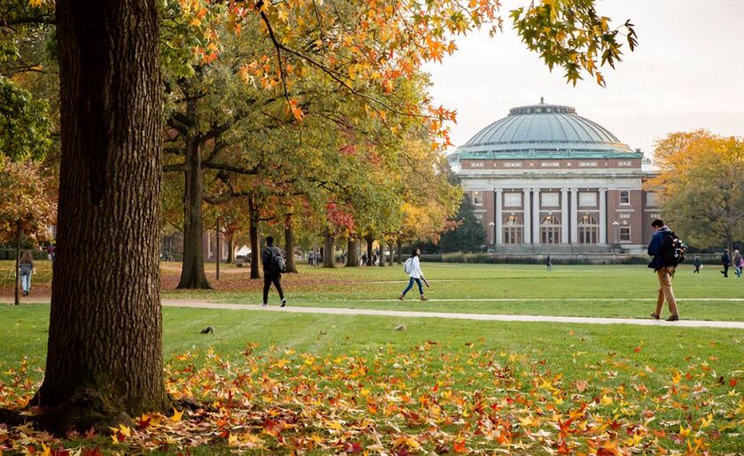 University of Illinois at Urbana-Champaign campus. File Photo.