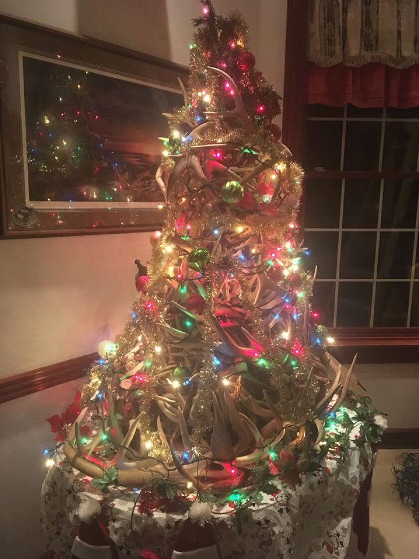 shedchristmastreebobconie.jpg