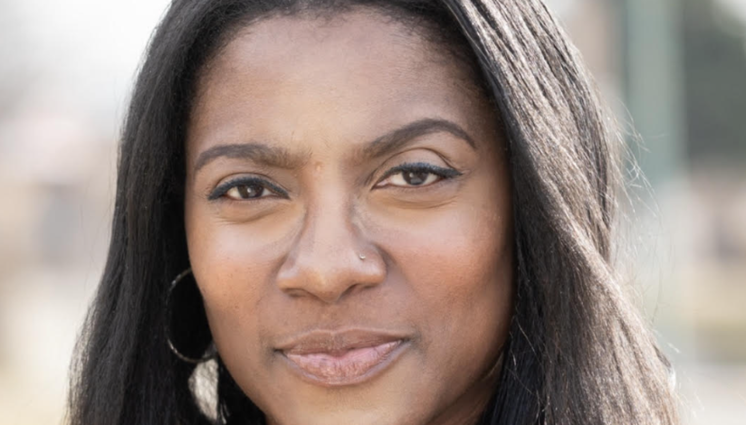 Lisa R.davis State Rep. Lisa Davis - Chicago Sun-Times