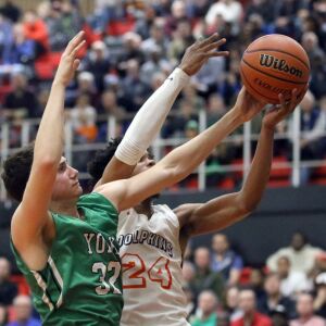 York’s Erik Cohn (32) and Whitney Young’s Tyler Beard (24) battle for the rebound in Hillside, Wednesday, March 6, 2019. | Kevin Tanaka/For the Sun Times
