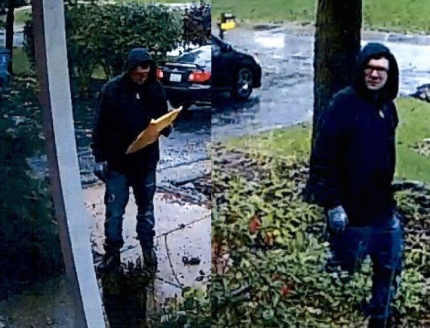 Surveillance images of a person caught on camera shortly before a burglar alarm went off Oct. 23 at a Naperville home. | Will County sheriff’s office