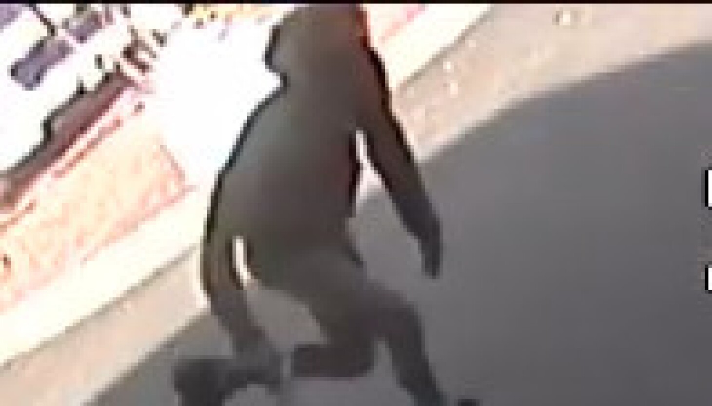 NextImg:FBI release surveillance video showing shootout, attempted armored truck heist in Country Club Hills