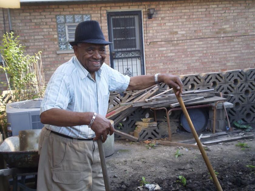 Rev. James Bass kept a teeming garden in his West Pullman yard with greens, turnips, strawberries, cabbages, peppers and tomatoes. | Provided photo