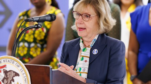 State Representative Robyn Gabel speaks at a podium on July 29, 2024.