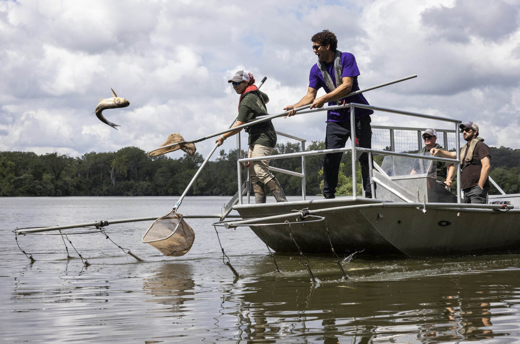 Sun Carp Illinois one step closer to keeping invasive carp out of Great Lakes ...
