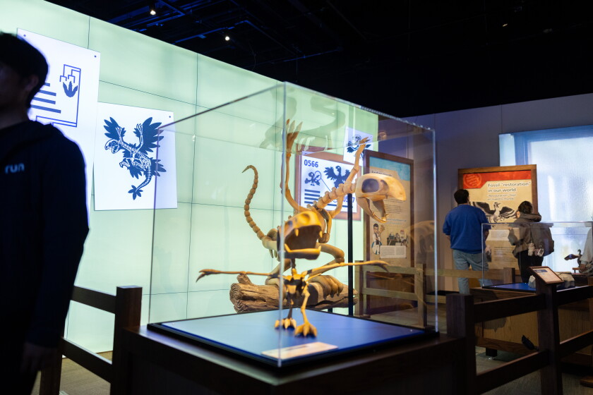 Museum Guide Pokemon Two heavyweights from different eras combine in the Field’s newest ...