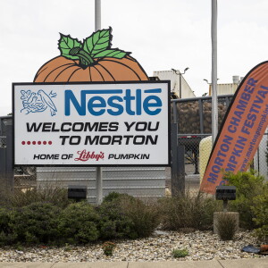 STEINBERGPUMPKINS_261018-33.jpg