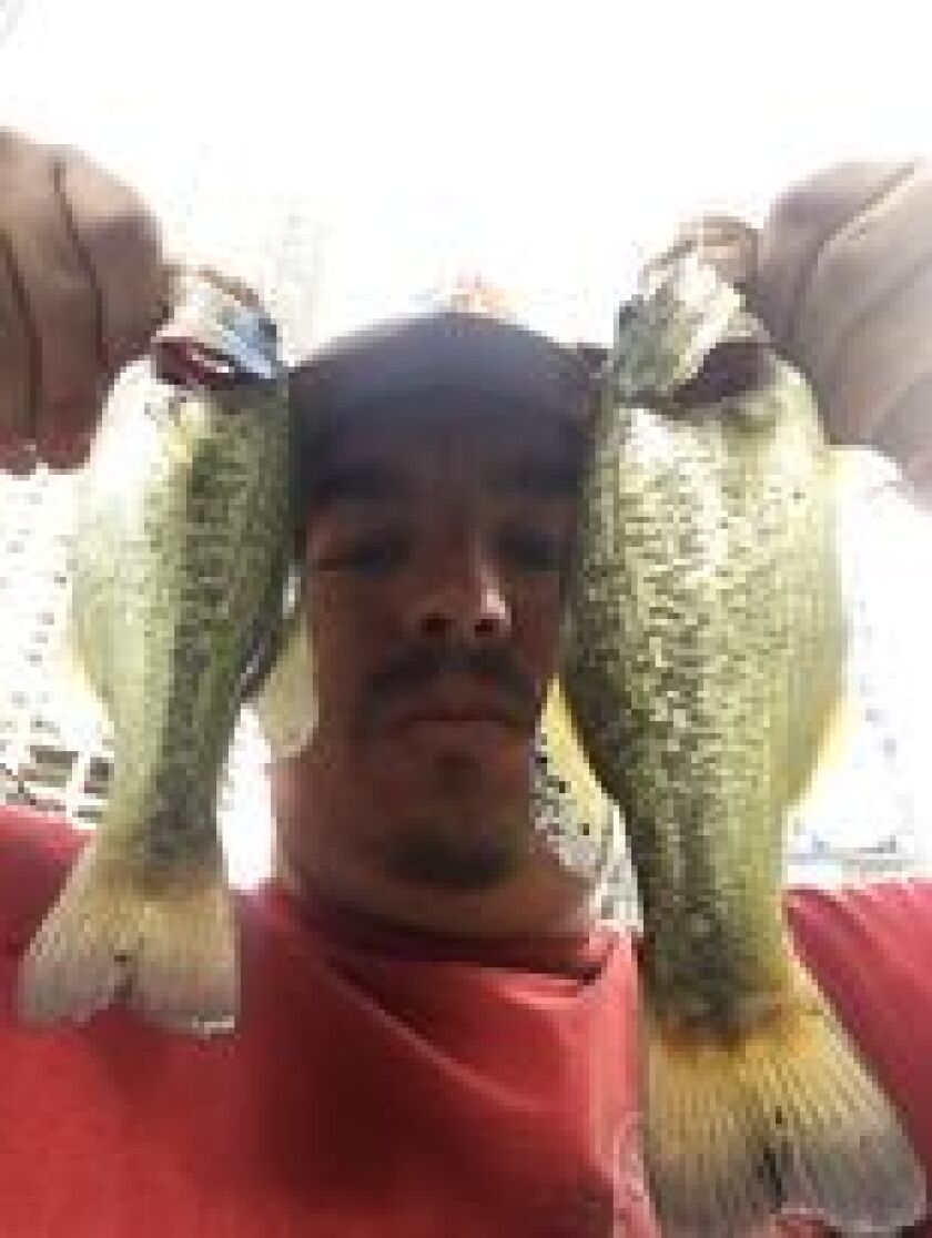 Jeffrey Williams doubling on the Chicago River. Provided photo