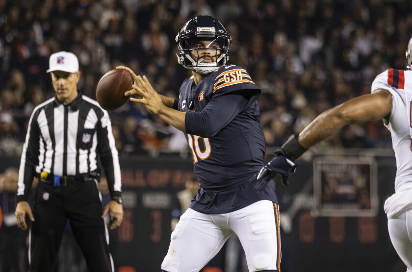 BEARS_261023-49.jpg