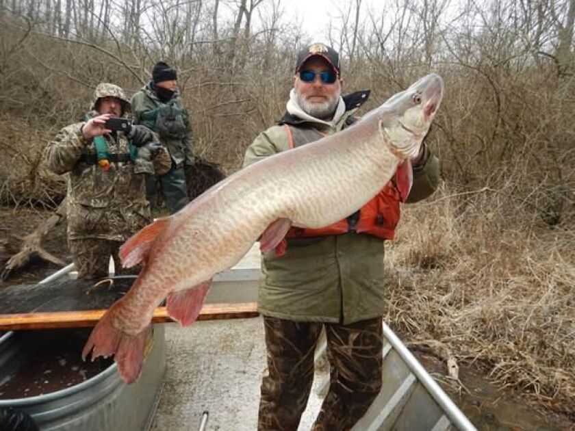 muskieevergreen2018.jpg