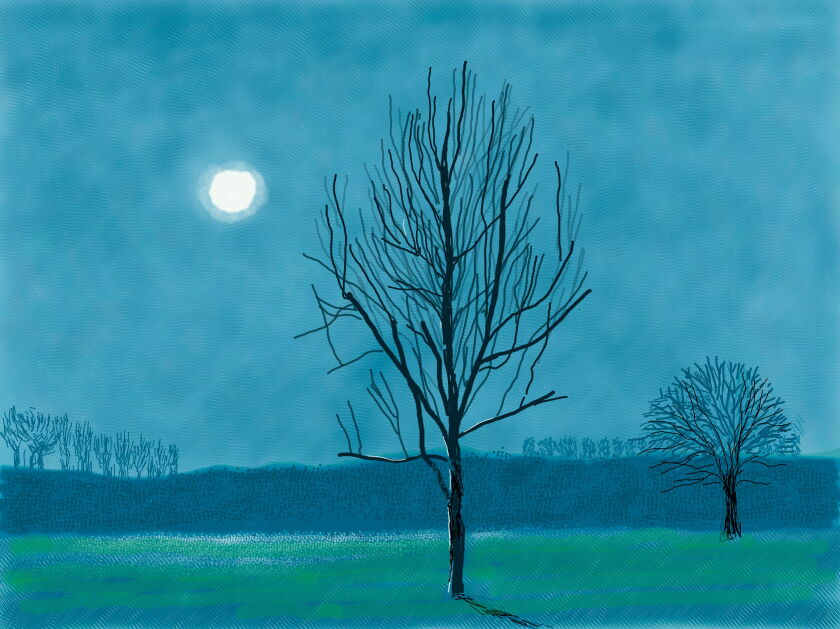 David Hockney ,