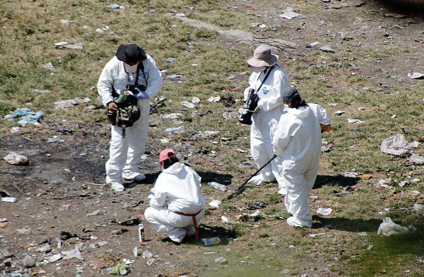 Forensic examiners search for human remains below a garbage-strewn hillside near Cocula, Mexico, on Oct. 28, 2014.