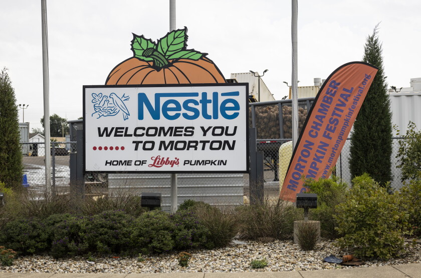 STEINBERGPUMPKINS_261018-33.jpg