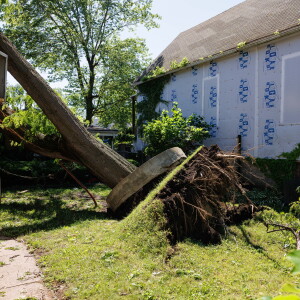 STORMAFTERMATH_260613-11.jpg